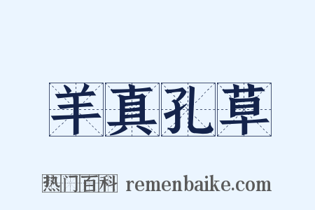 羊真孔草是什么意思的图片